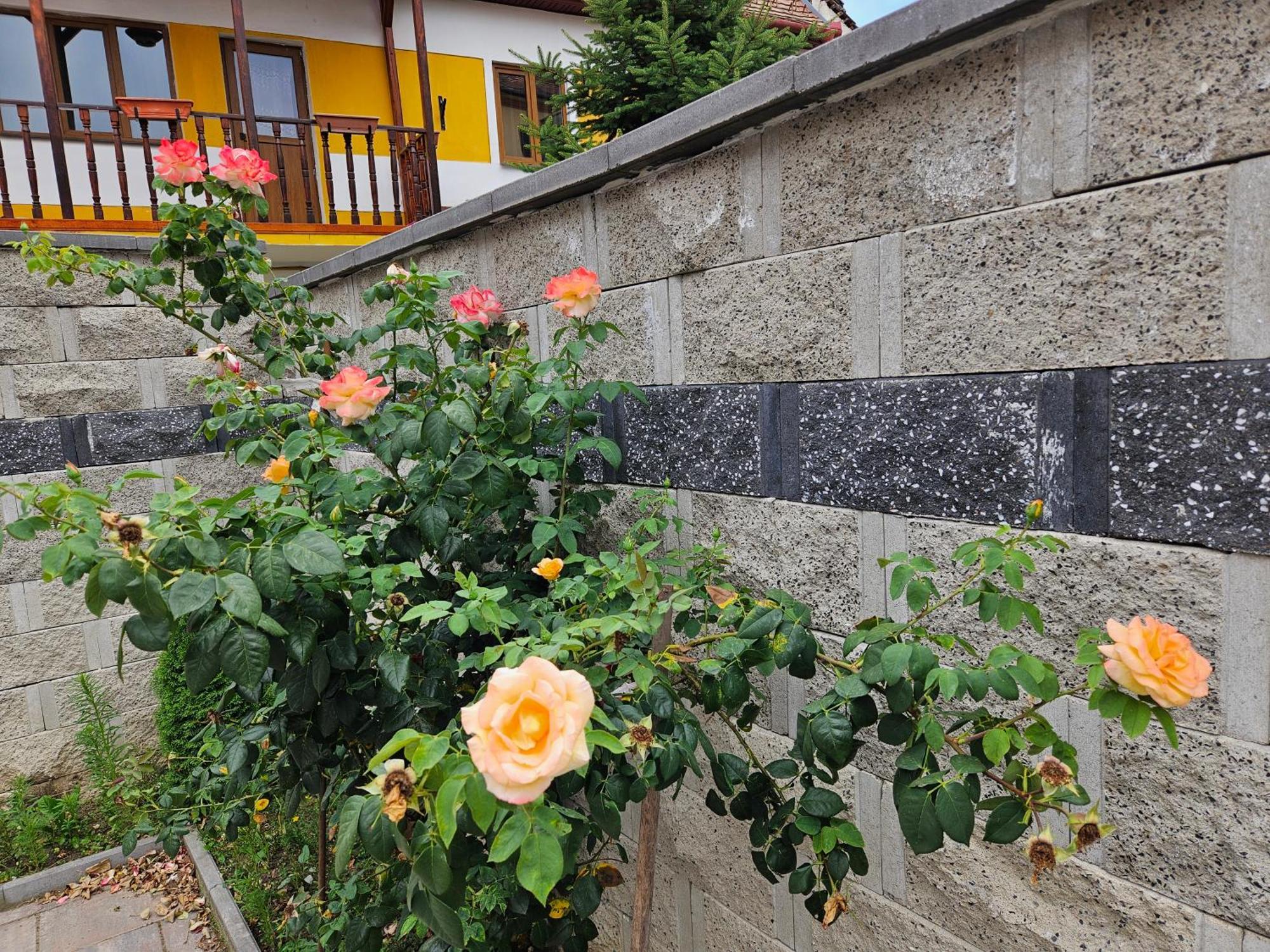 Casa Raduly Aparthotel Sibiu Exterior photo